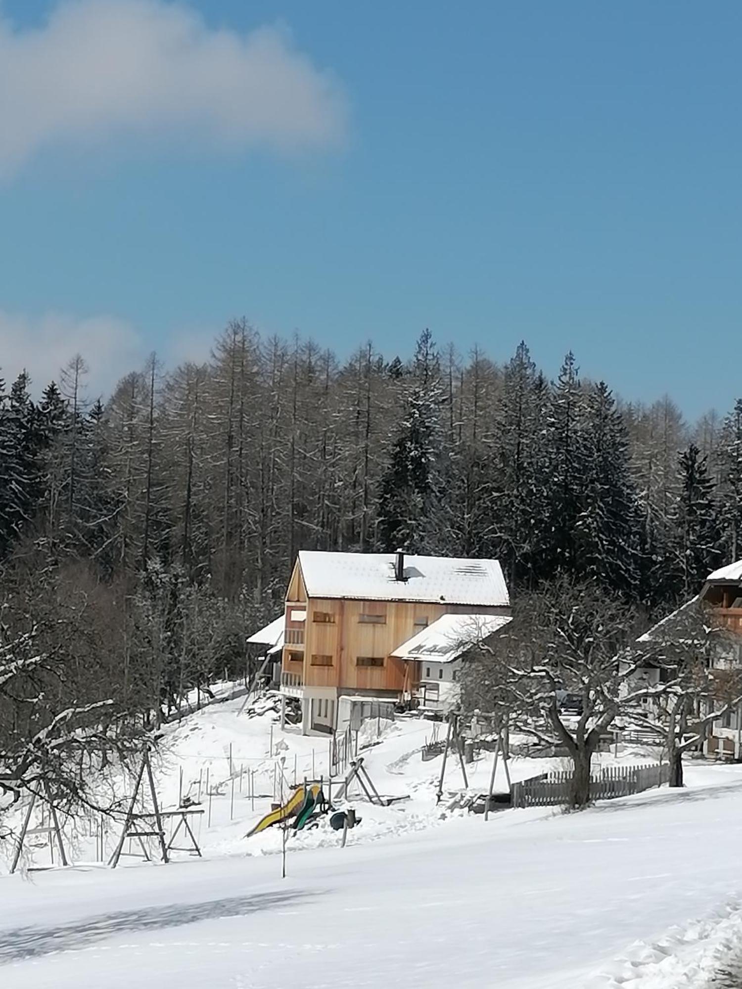 Holzhaus "Zum Schwarz'N" Apartment Aurach am Hongar Exterior foto